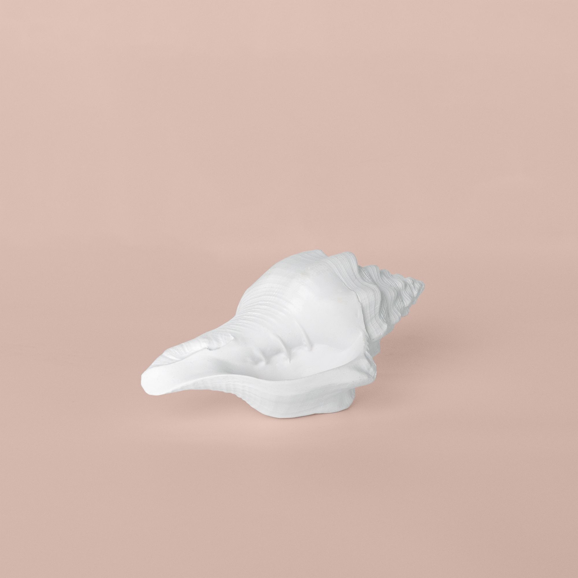 resm Linens Conch 18x9x8 cm Dekor Beyaz