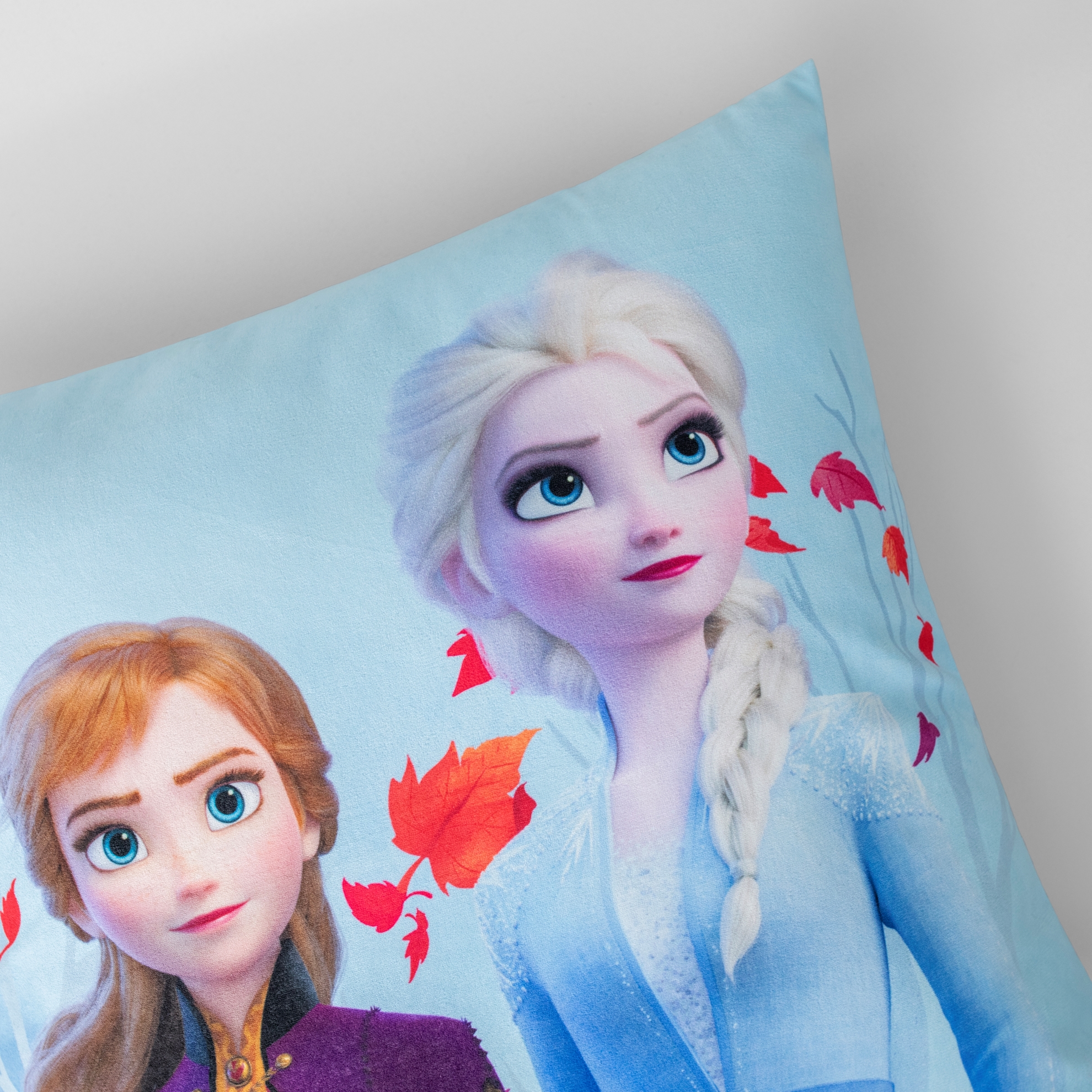 resm Lisanslı Disney Frozen Autumn 40x40 cm Kılent