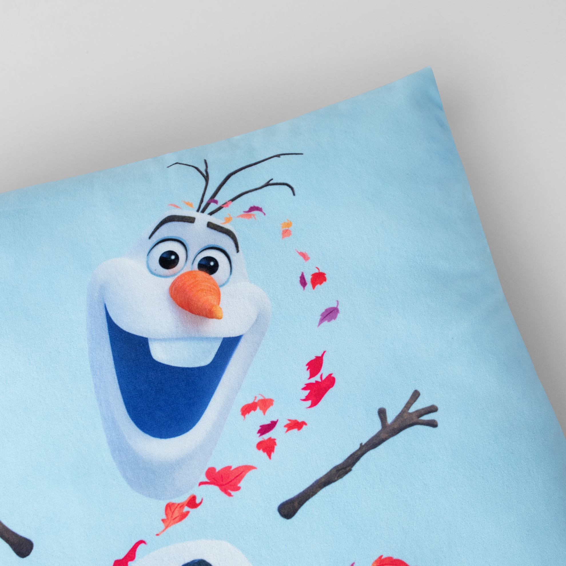 resm Lisanslı Disney Frozen Autumn 40x40 cm Kılent