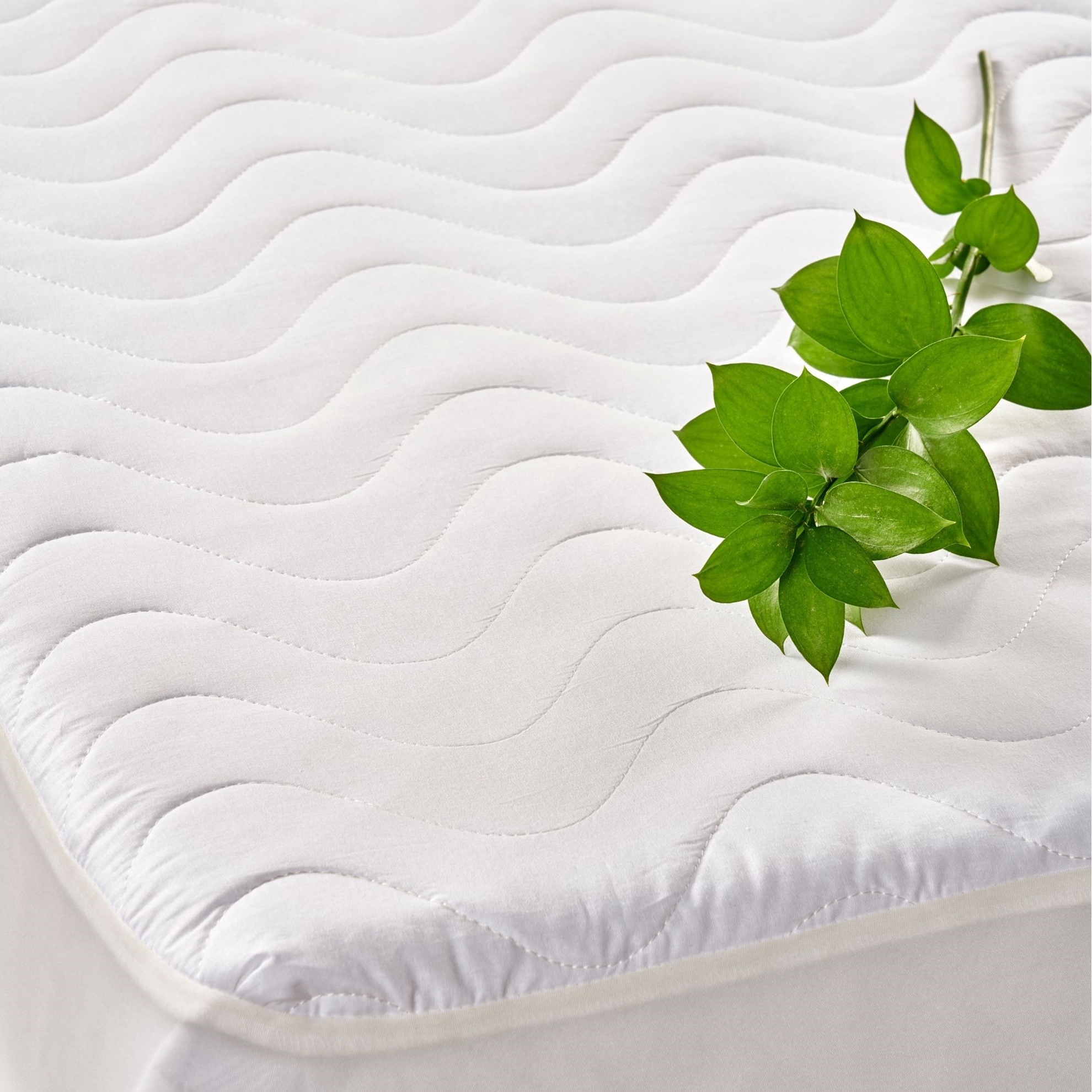 resm Taç Kapitone Fitted Tek Kişilik Yatak Alezi Beyaz