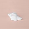 resm Linens Conch 18x9x8 cm Dekor Beyaz